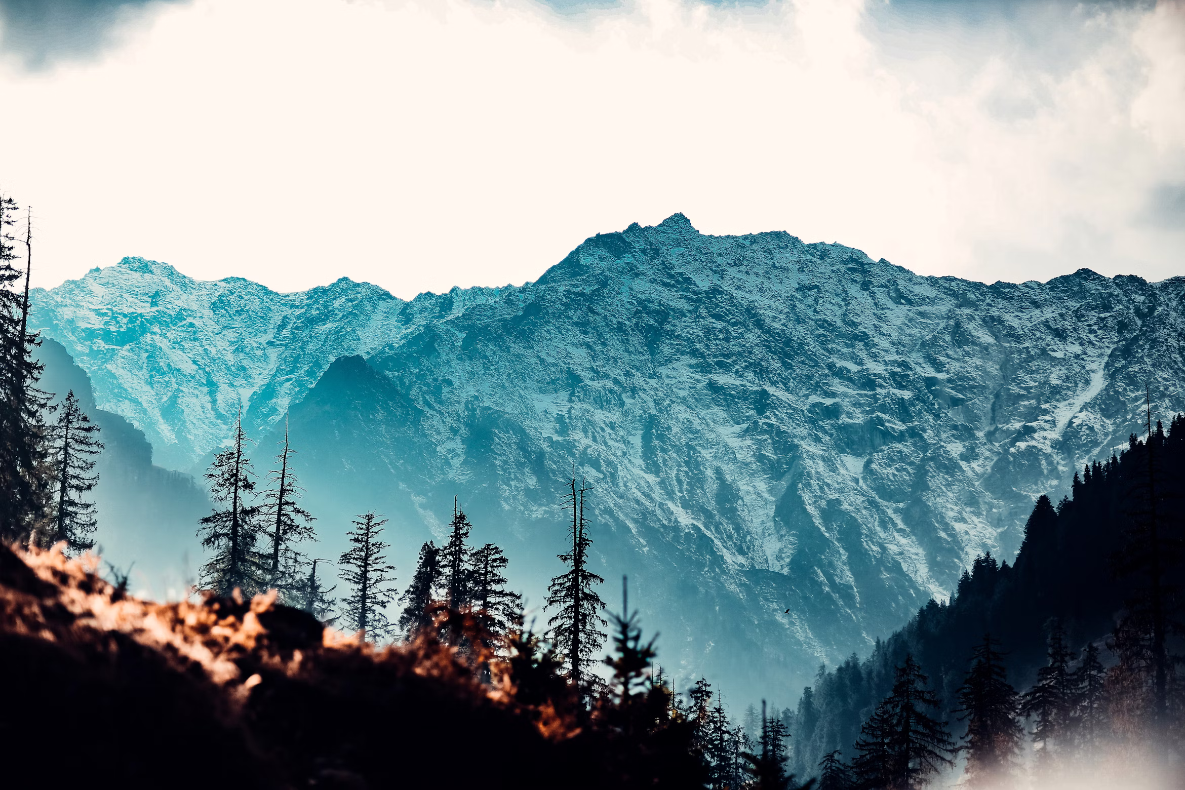 Himachal