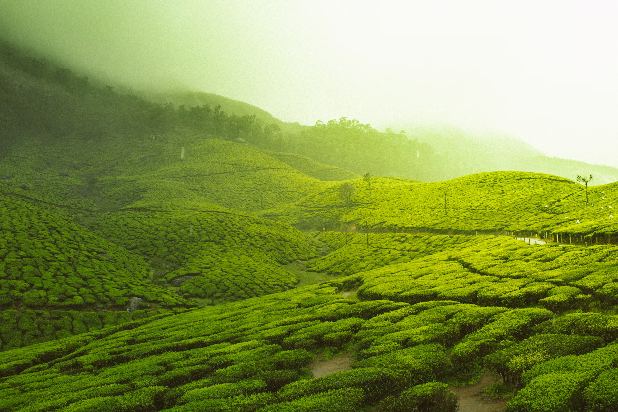 Kerala