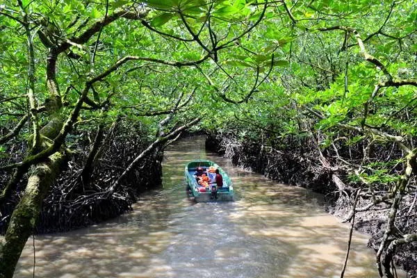 7 Days Adventure Andaman with Baratang Island