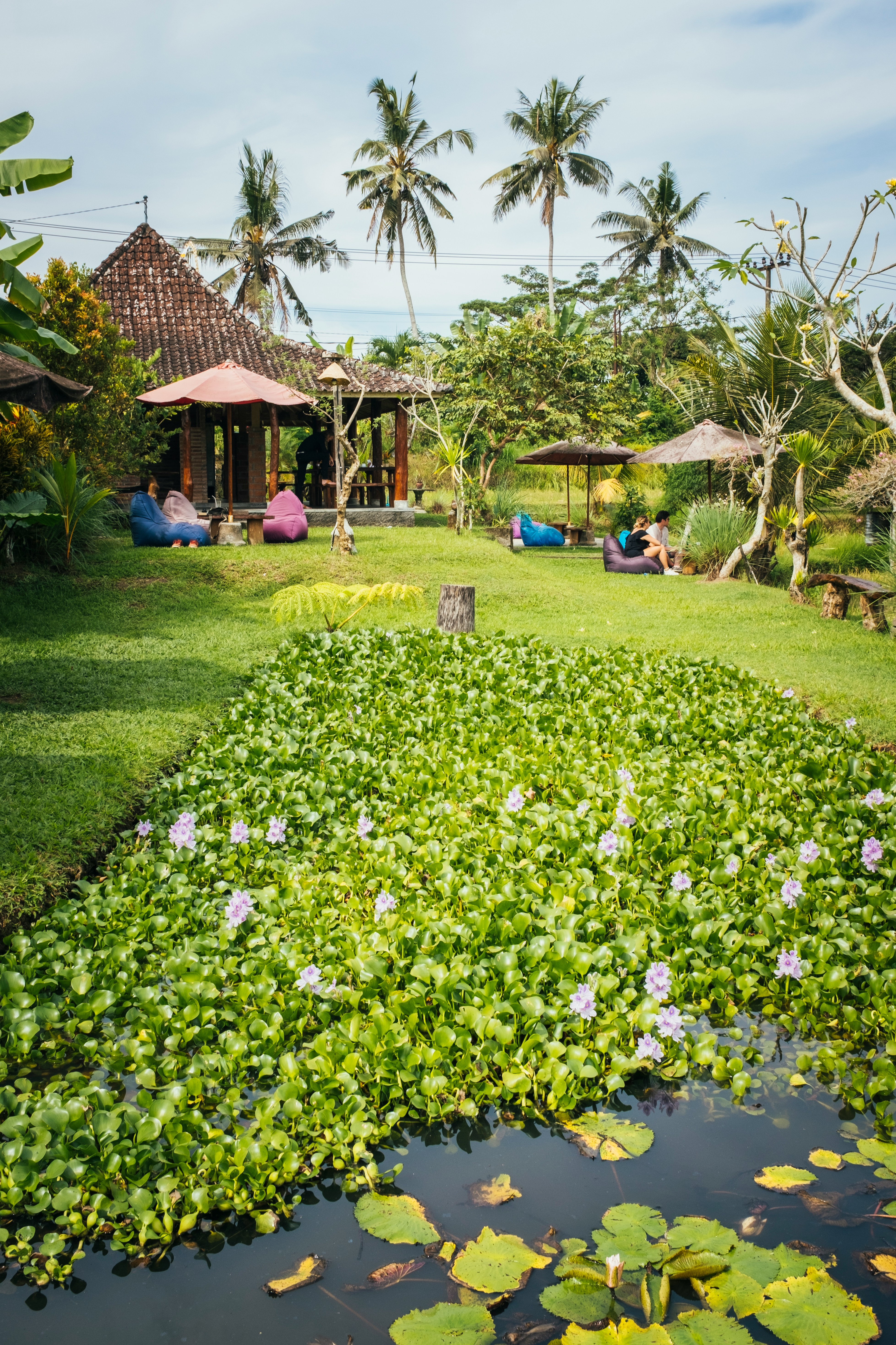 Best Bali Tour From India