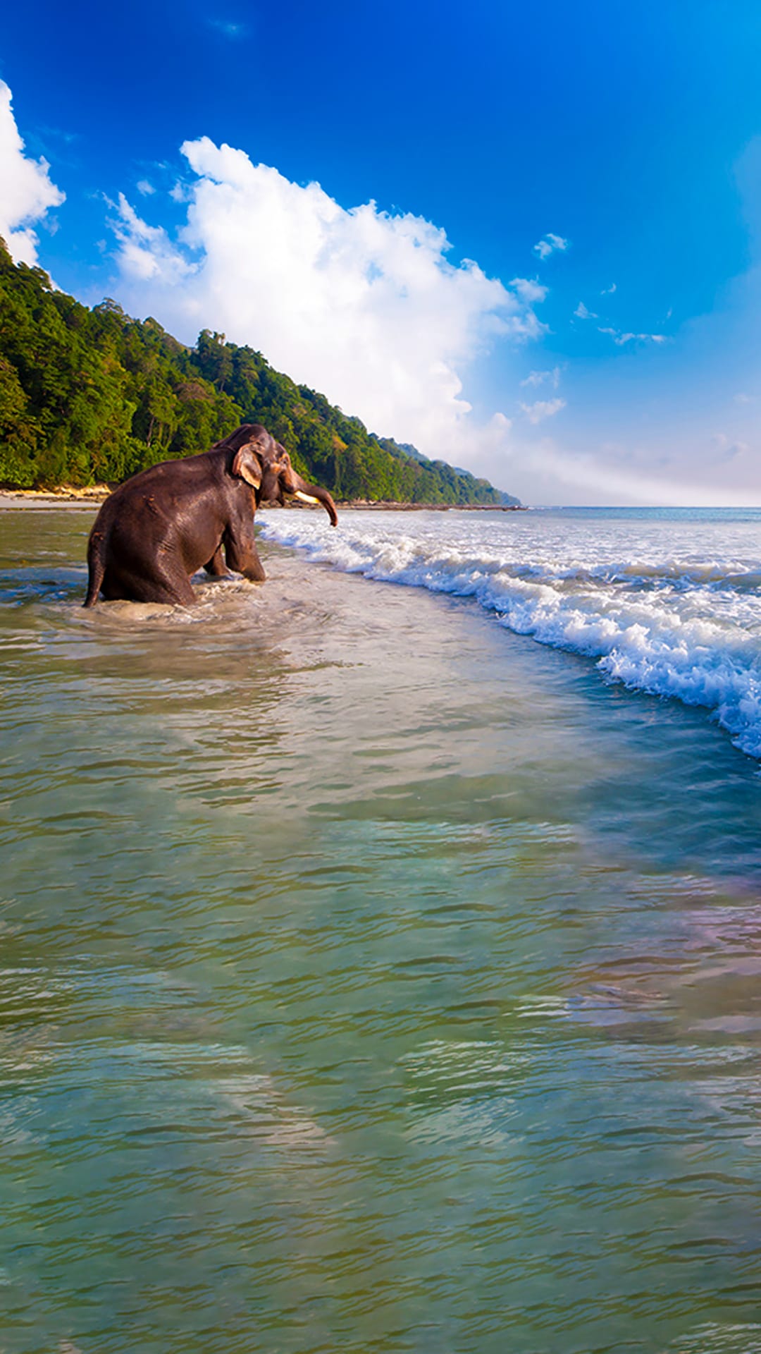 Arrive at Port Blair. Visit Corbyn’s Cove Beach and Cellular Jail.