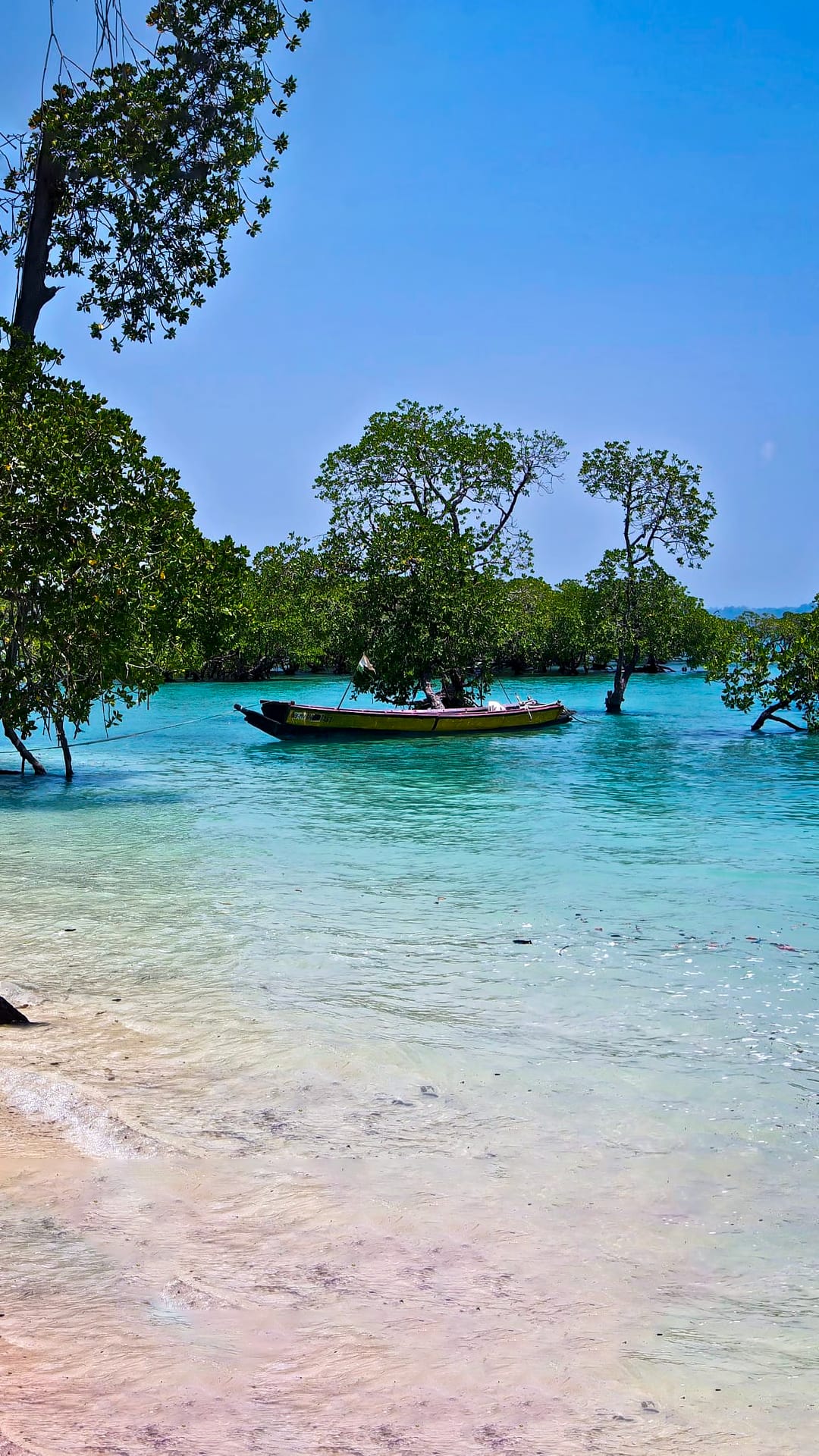 Arrive at Port Blair. Visit Corbyn’s Cove Beach and Cellular Jail.