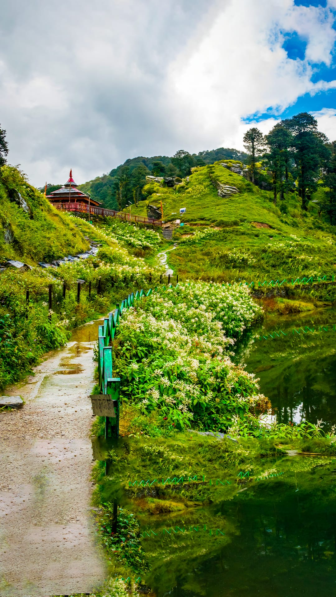 6 Days Best Himachal Tour Package for Friends