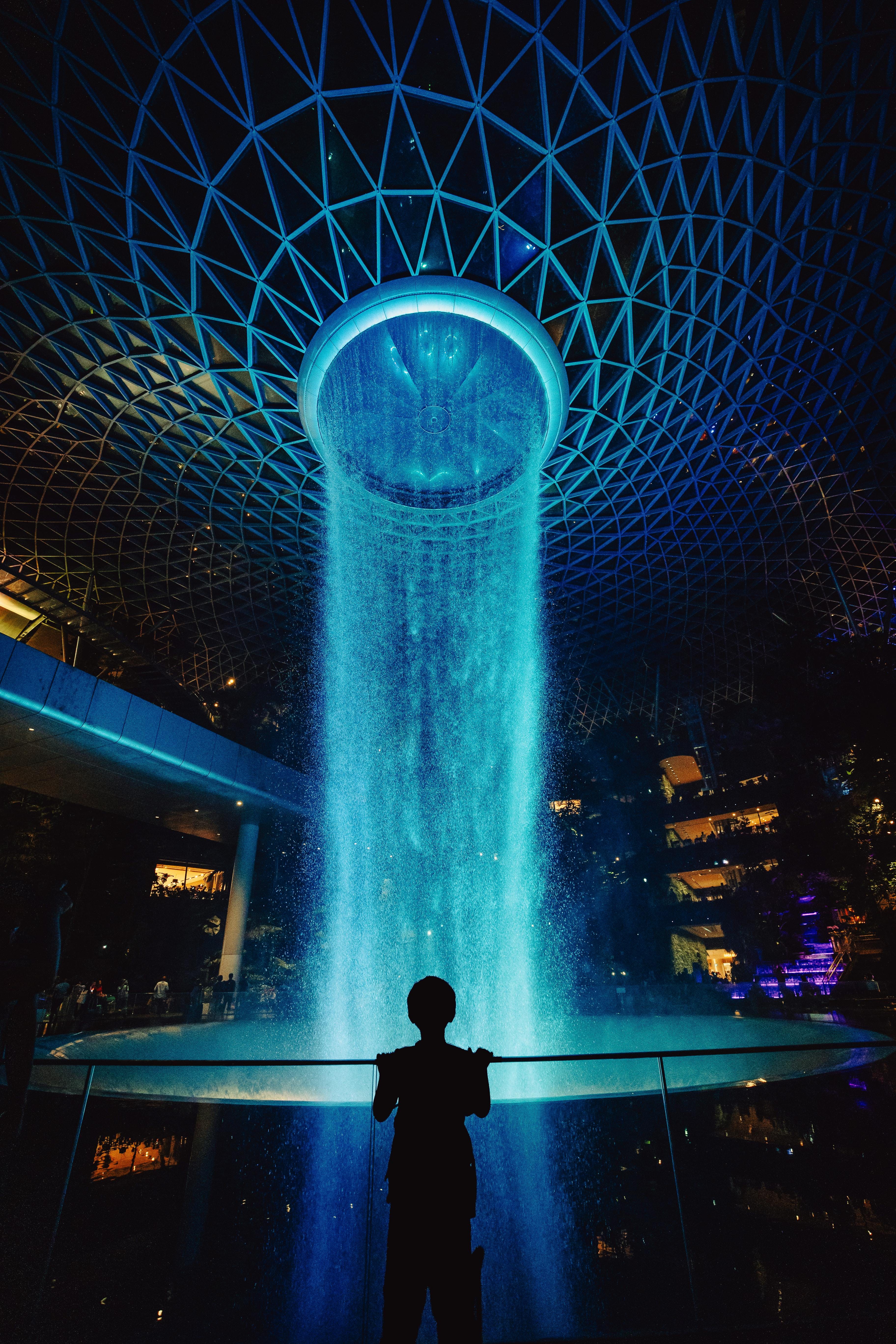 Arrive In Singapore | Night Safari Experience