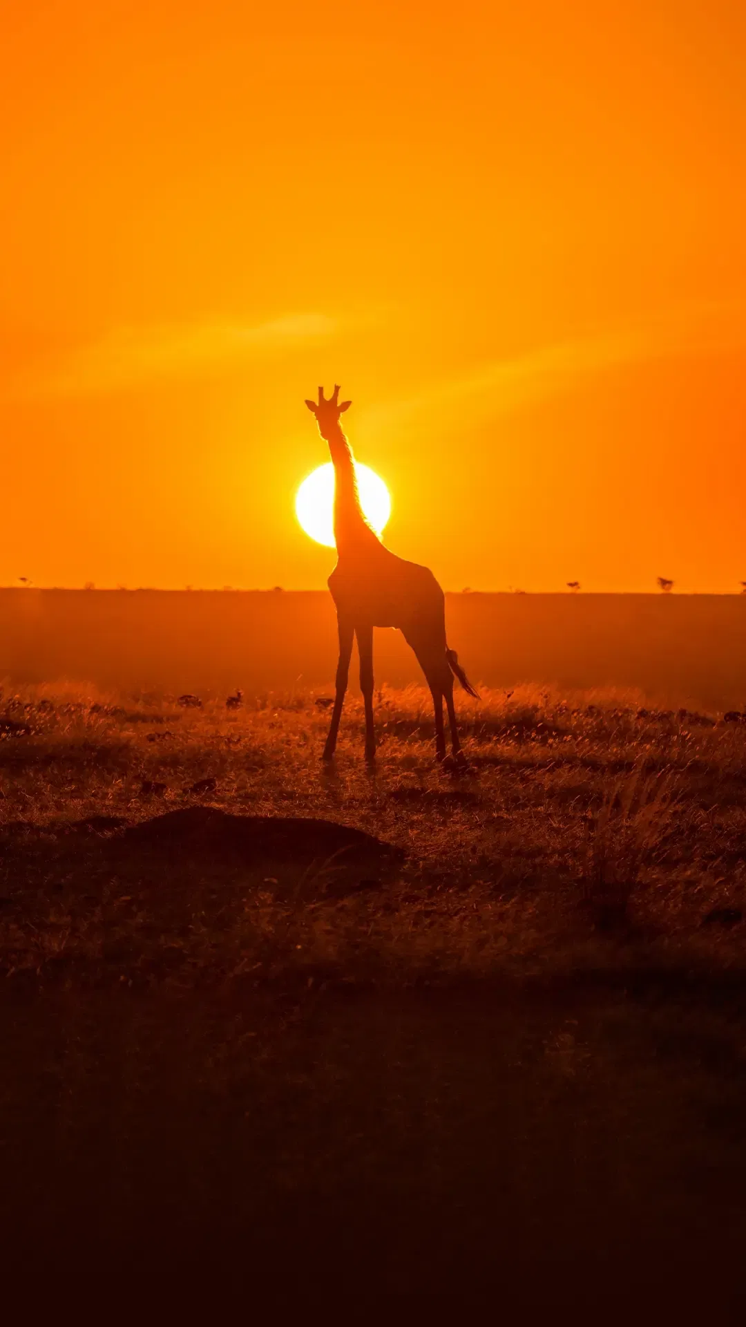 6-Day Kenya Travel Package with Masai Mara Safari and Village Tour