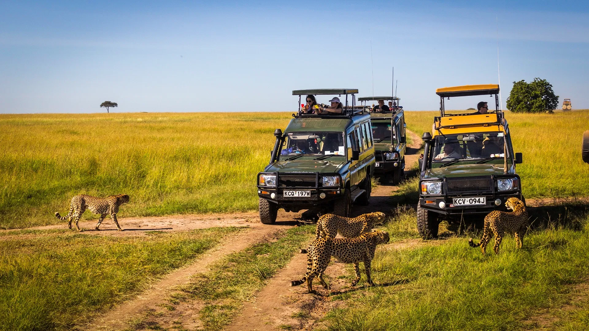 Arrival In Nairobi. Proceed To Lake Naivasha, A Ramsar Conservation Site