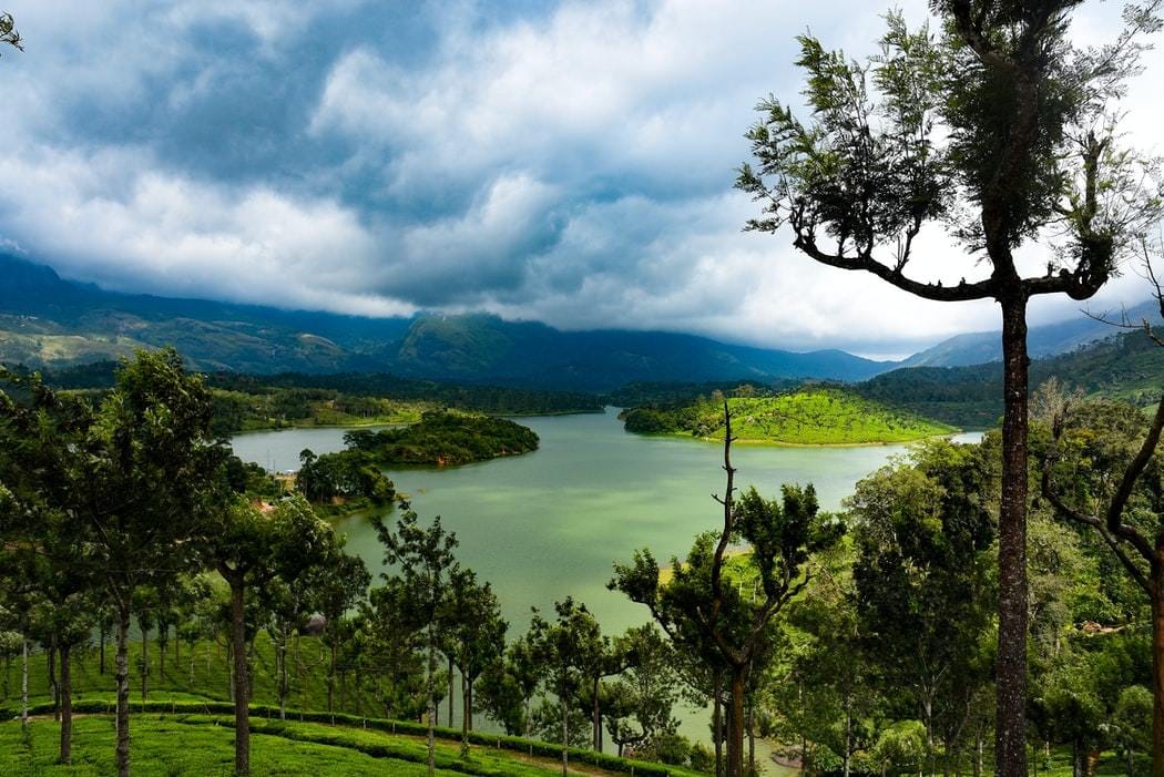 The Green Corridor