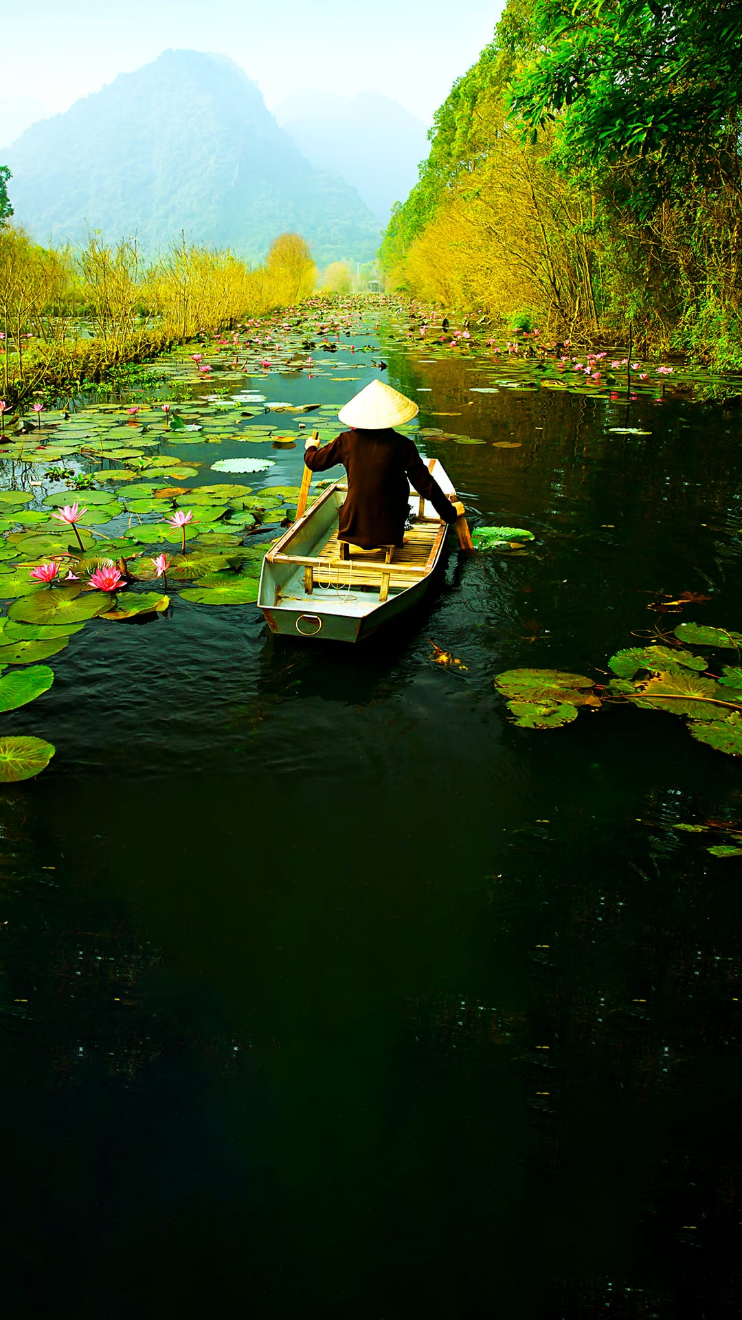 Arrival In Hanoi & Half-Day City Tour.