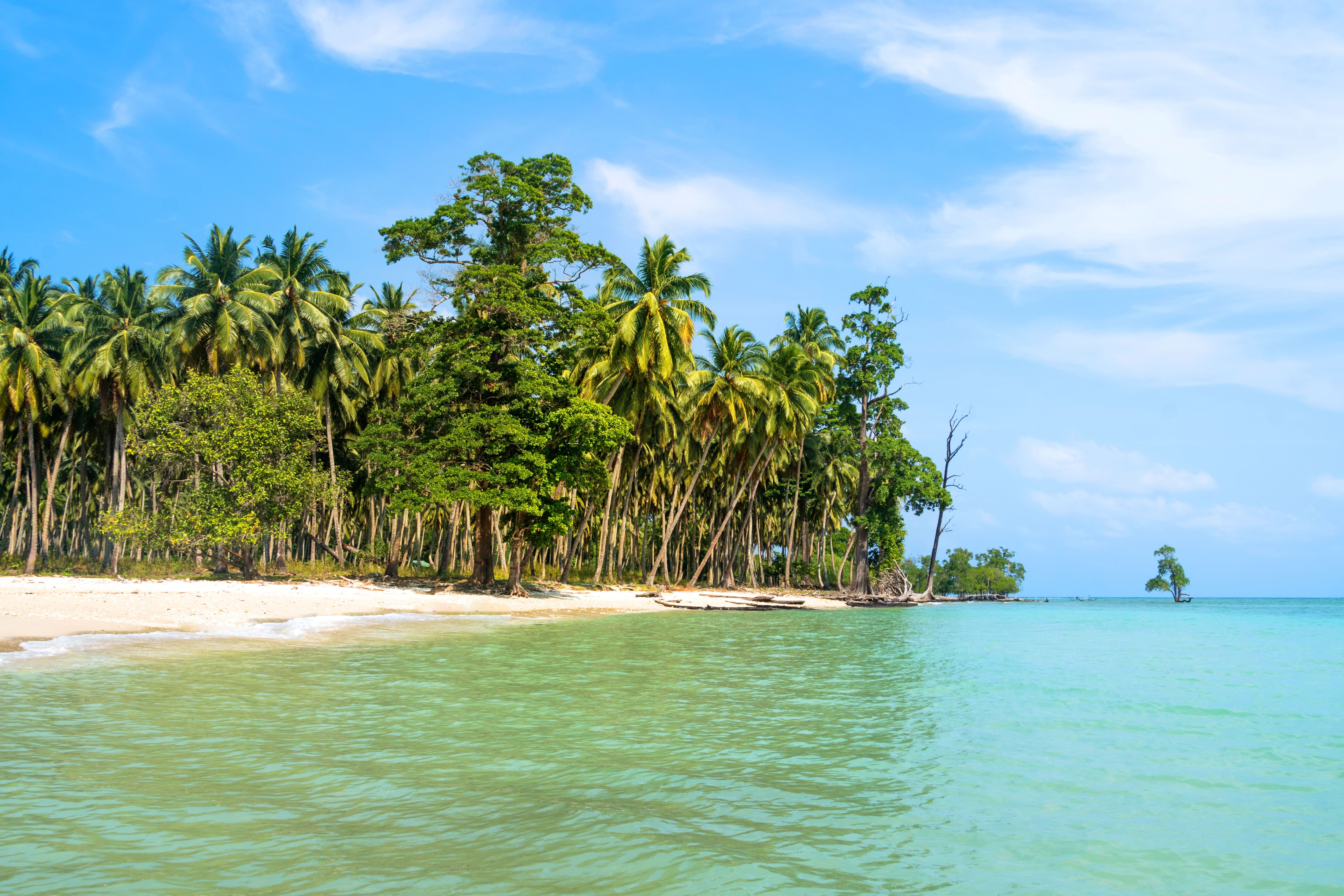 7 Days Andaman Island Getaway with Ross & North Bay Boat Tour
