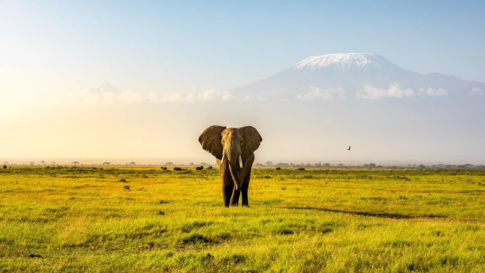 5-Day Kenya Wildlife Tour :  Discover the Best of Kenya