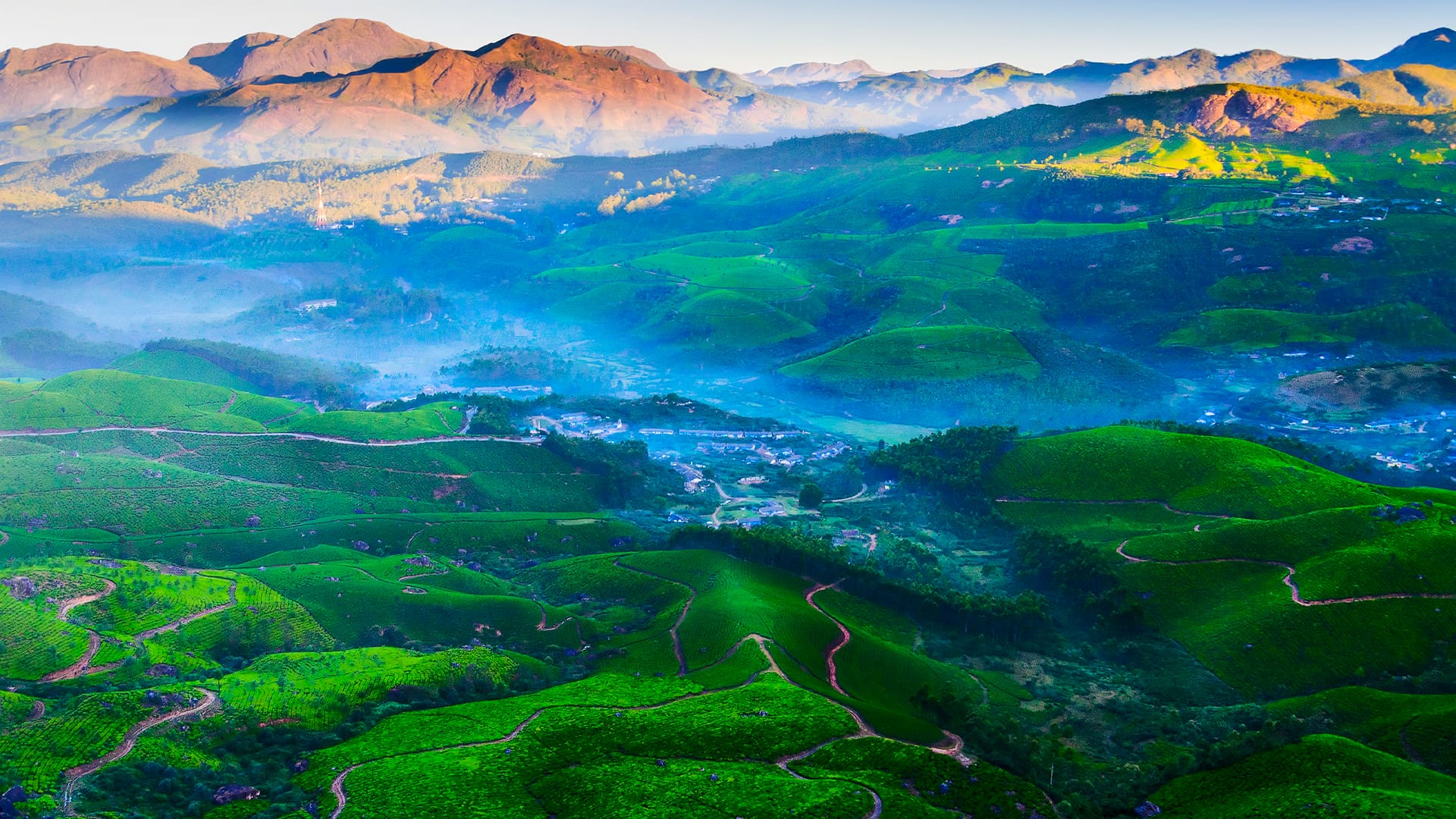 8 Days Kerala Tour Package - Misty Hills to Scenic Shores